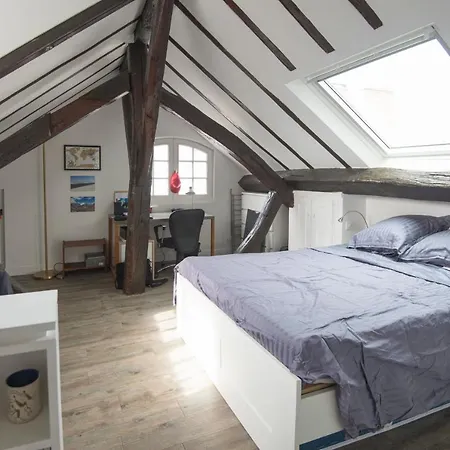Charming Duplex Near Jardin Du Luxembourg Parigi